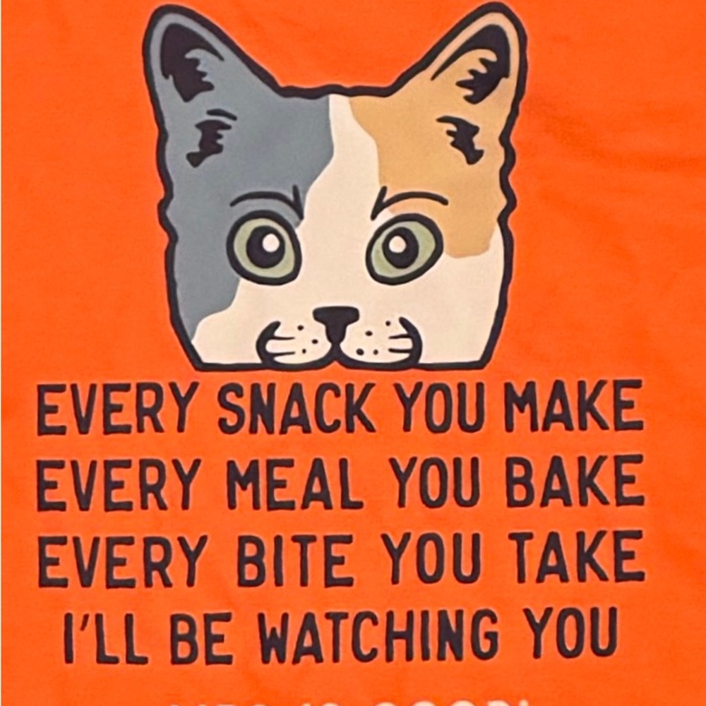 Life Is Good Orange Tee with Cat Design
